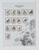 Kavel 1101 (131)