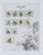 Kavel 1101 (135)