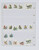 Kavel 1101 (150)