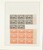 Kavel 3650 (81)