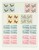 Kavel 3641 (12)