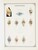 Kavel 1442 (39)