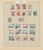 Kavel 1011 (270)