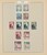 Kavel 1011 (317)
