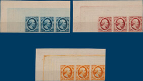 Lot 5001