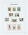 Kavel 1227 (20)