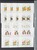 Lot 1402 (546)