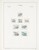 Kavel 1438 (106)