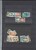 Kavel 1443 (27)