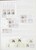 Kavel 3566 (79)