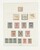 Kavel 3645 (20)