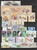 Kavel 1146 (80)