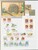 Kavel 1146 (144)