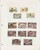 Kavel 1527 (50)