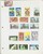 Kavel 1527 (70)