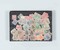 Kavel 2269 (52)