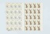 Kavel 2251 (27)