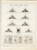 Kavel 2025 (187)