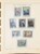 Kavel 2025 (265)