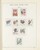 Kavel 2025 (393)