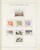 Kavel 2025 (402)