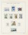 Kavel 2025 (411)