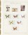 Kavel 2025 (446)