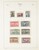 Kavel 2025 (499)