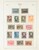 Kavel 2025 (506)