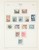 Kavel 2025 (537)