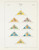 Kavel 2025 (561)