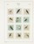 Kavel 2025 (571)