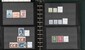 Lot 1017 (20)