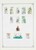 Lot 1035 (21)