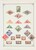 Lot 1035 (131)