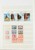 Kavel 1039 (64)