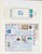 Lot 1041 (10)