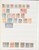 Lot 1041 (12)