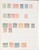 Lot 1041 (14)