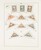 Kavel 1098 (13)