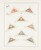 Kavel 1098 (14)