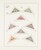 Kavel 1098 (17)