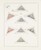 Kavel 1098 (18)