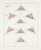 Kavel 1098 (19)