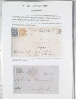 Lot 1131