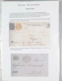 Lot 1131