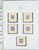 Lot 1131 (24)