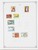 Kavel 1165 (91)