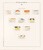 Kavel 1480 (53)
