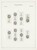 Kavel 1264 (24)